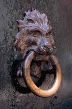 head of lion copper knocker in a door in verona italy