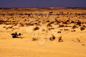 two people in the desert of tunisia,sahara, in a truck