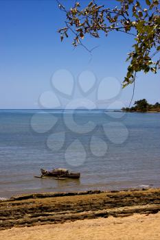tree boat sand lagoon tropical and coastline in madagascar nosy be