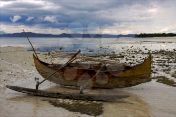  boat palm  rock stone branch hill lagoon and coastline in madagascar nosy be
