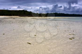beach and sand  in nosy be  madagascar and lowtide