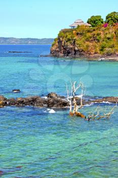 beautiful andilana beach seaweed in indian ocean madagascar mountain   sand isle  sky and rock  