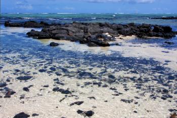 boat foam footstep indian ocean some stone in the island of deus cocos in mauritius
