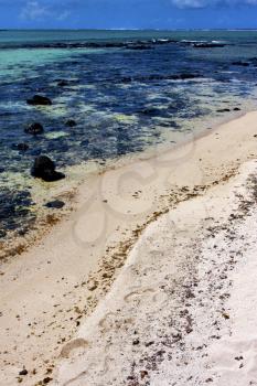 
foam footstep indian ocean some stone in the island of deus cocos in mauritius
