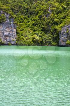 south china sea thailand kho tao bay abstract of a green lagoon and water  

