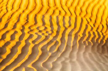 abstract texture line wave in oman the old desert  and the empty quarter 