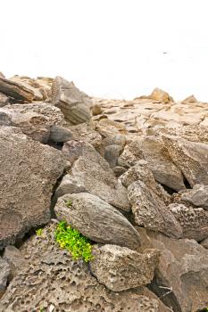 blur in south africa   sky ocean  isimagaliso reserve nature and rocks