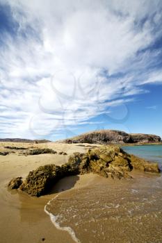 water in lanzarote coastline  froth  spain pond  rock stone sky cloud beach   musk  and summer    
