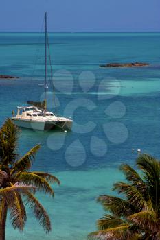 costline boat catamaran in the  blue lagoon relax  of isla contoy  mexico
