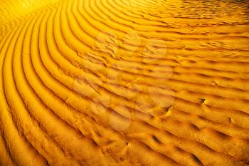 abstract texture line wave in oman the old desert  and the empty quarter 