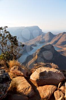 blur  in  south africa  blyde river canyon plant rock and pond water   