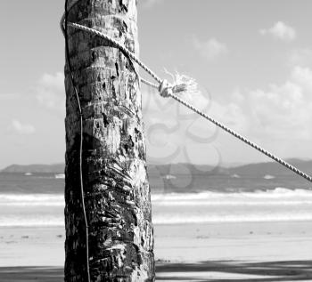 blur  in   philippines  a rope from an hammock near the ocean shore and cloud