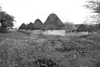blur  in lesotho malealea street  village near courtyard  and coultivation field