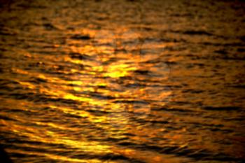 blur  in south africa sea indian ocean and abstract gold wave for sunset