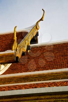 bangkok in the temple  thailand abstract cross colors roof wat  palaces   asia sky   and  colors religion