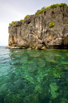 asia in the  kho phangan isles bay   rocks    thailand  and south china green sea  