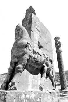 blur  in iran persepolis the old   ruins historical destination monuments and ruin

