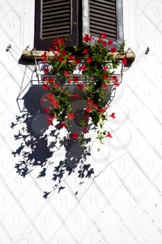 red  europe  italy  lombardy        in  the milano old   window closed brick      abstract grate   flower