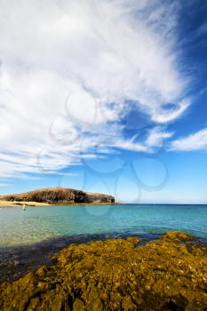 cloudy  beach  light  water  in lanzarote  isle foam rock spain landscape  stone sky   
