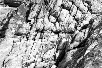 blur  in south africa close up of the coastline stone  abstract  texture background