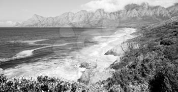 blur  in south africa coastline indian ocean  near the mountain and beach with pkant and bush