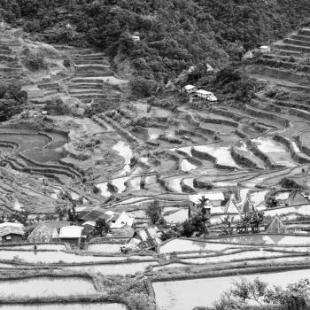 blur  in  philippines  terrace field for coultivation of rice  from banaue unesco site 
