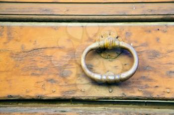  varese abstract  rusty brass brown knocker in a   closed wood door venegono italy