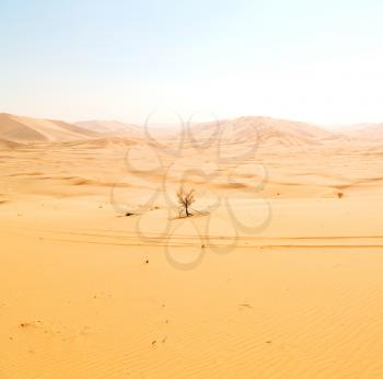 the empty quarter  and outdoor  sand  dune in oman old desert rub al khali 