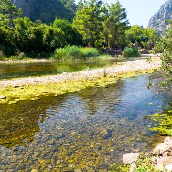 in europe turkey olympos   near the river and nature