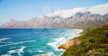 blur  in south africa coastline indian ocean  near the mountain and beach with pkant and bush