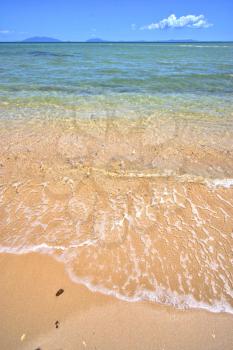 paradise beach seaweed in indian ocean nosy be  madagascar  sand isle  sky and foam