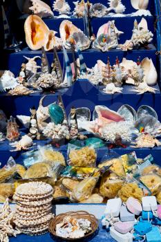 full in market old table shell and sealife in sale