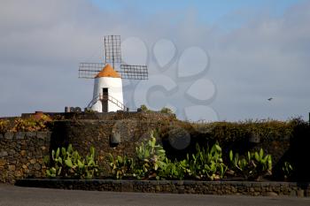 cactus windmills in  isle of lanzarote africa spain   and the sky 
