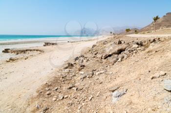 near sandy beach sky  palm   and mountain in oman arabic sea   the hill 