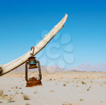 in iran blur old dead tree in the empty desert of persia lamp oil on branch