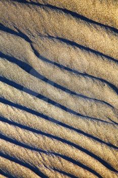 lanzarote spain abstract texture of a broke ground sand dry and lichens 
