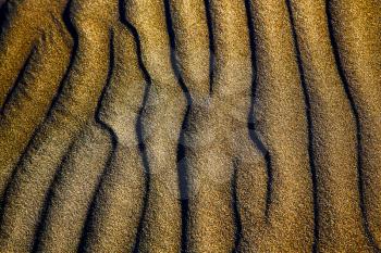 spain texture abstract of a  dry sand and the beach lanzarote 

