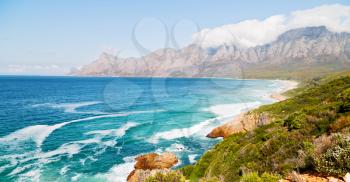 in south africa coastline indian ocean  near the mountain and beach with pkant and bush