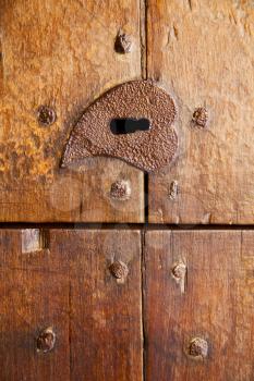 a brass brown knocker and wood  door castiglione olona varese italy