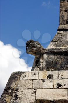 skull snake in wall  mexico the  abstract incision in the old temple of chichen itza