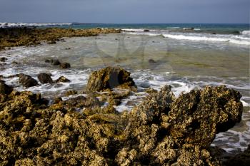 in lanzarote  isle  rock spain landscape  stone sky cloud beach   water 
