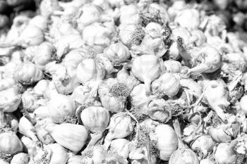 blurred abstract background texture of a  garlic in the market concept of healty