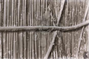 abstract texture background of the bamboo wall and material  decor