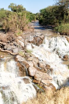 in  ethiopia africa the  awash national park  and the falls nature wild
