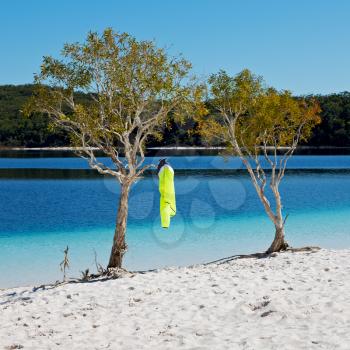 in  australia  lake mckenzie  tourism tree and relax in the paradise
