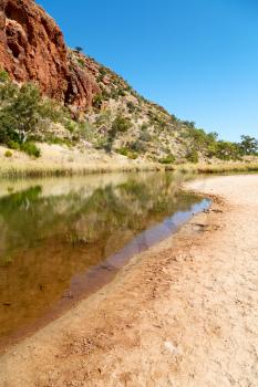 in  australia natuarl kings canyon and the river near the mountain in the nature