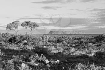 AUSTRALIA,AYERS ROCK-CIRCA  AUGUST 2017-the end of the day in ayers rock park  
