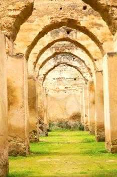 old moroccan granary in the green grass and archway  wall