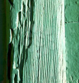 texture in spain lanzarote abstract green  window   
