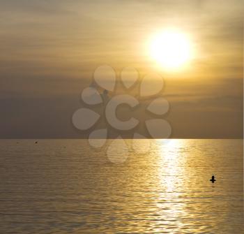 kho phangan sunrise people boat  and water in thailand  bay coastline south china sea